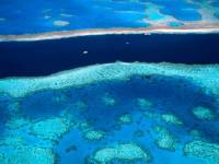 Лазурные воды, Большой Барьерный Риф, Австралия