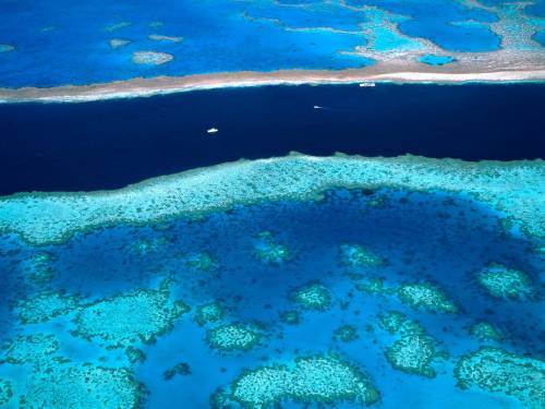 Лазурные воды, Большой Барьерный Риф, Австралия