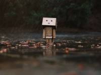 Картонный человечек, дождь