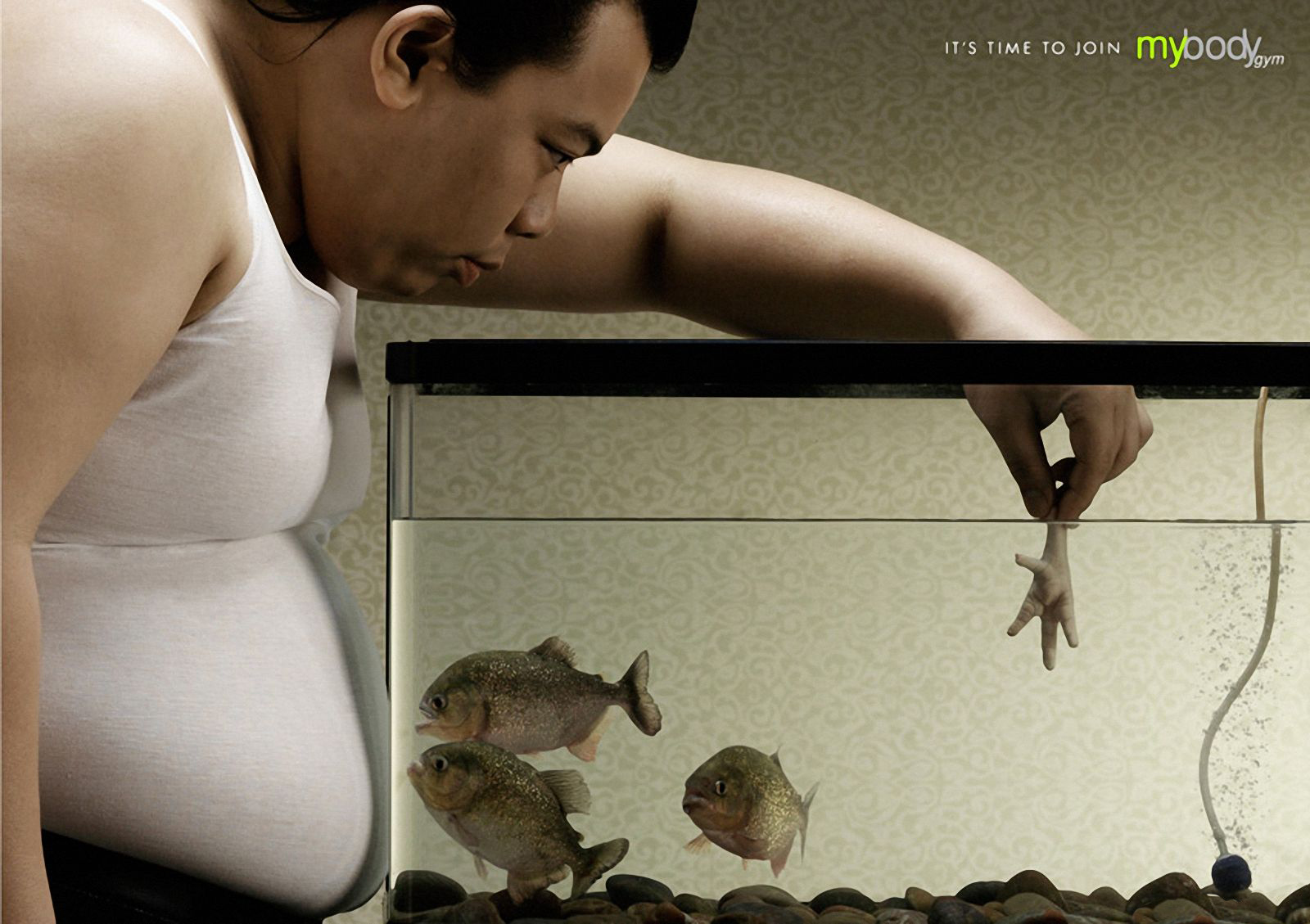 Почему хочу рыбу. Шедевры рекламы. Креативная реклама похудения. Креативная реклама рыбы. Лишний вес креативная реклама.