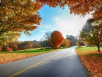 Дорога в осень