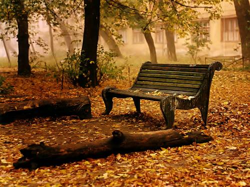 Old Bench