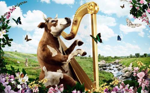 Корова играет на арфе