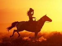 Девушка верхом на коне